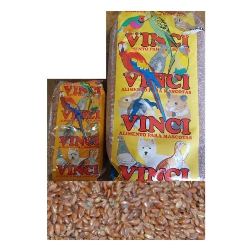Linaza Vinci 5 Kg. -3