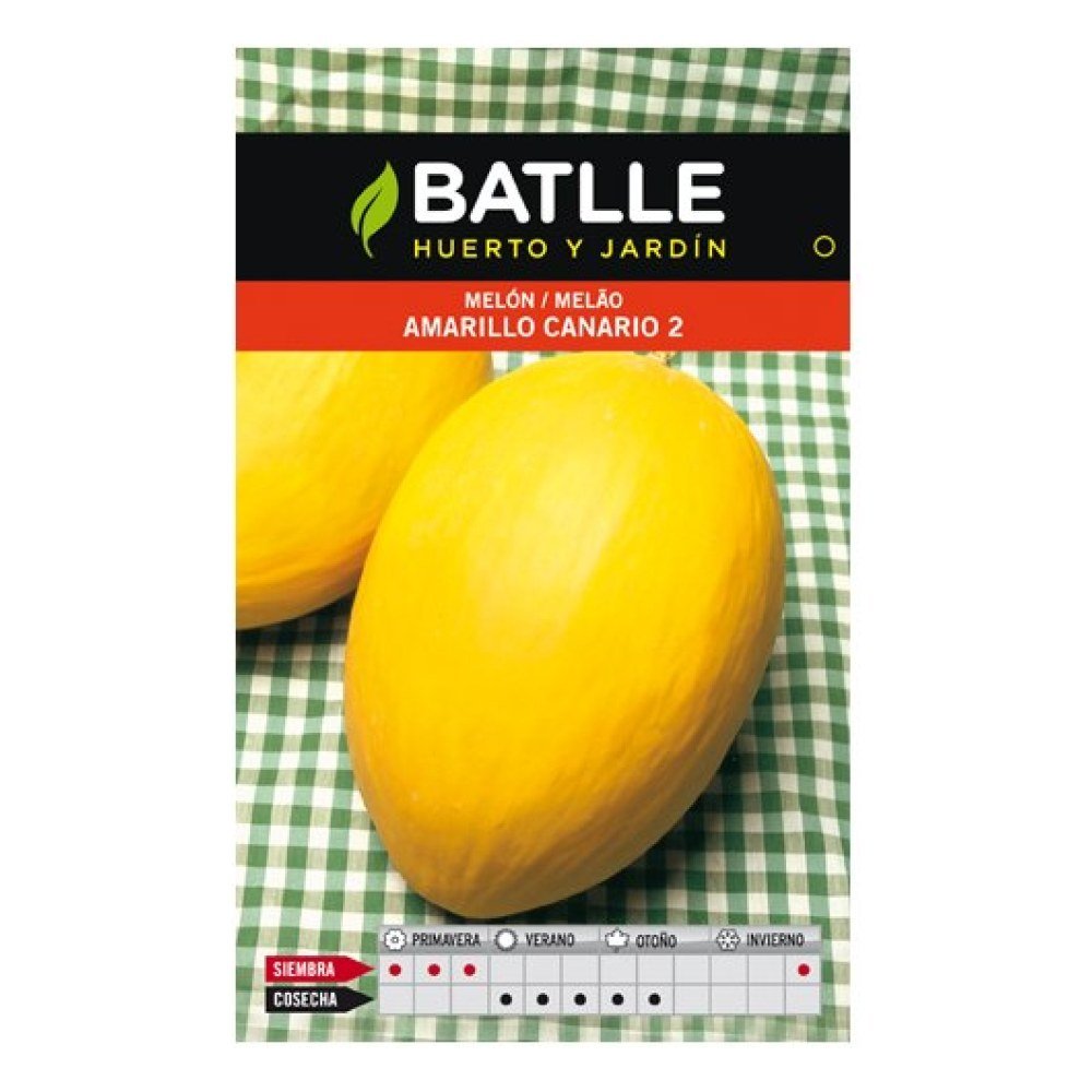 Melon Amarillo Canario