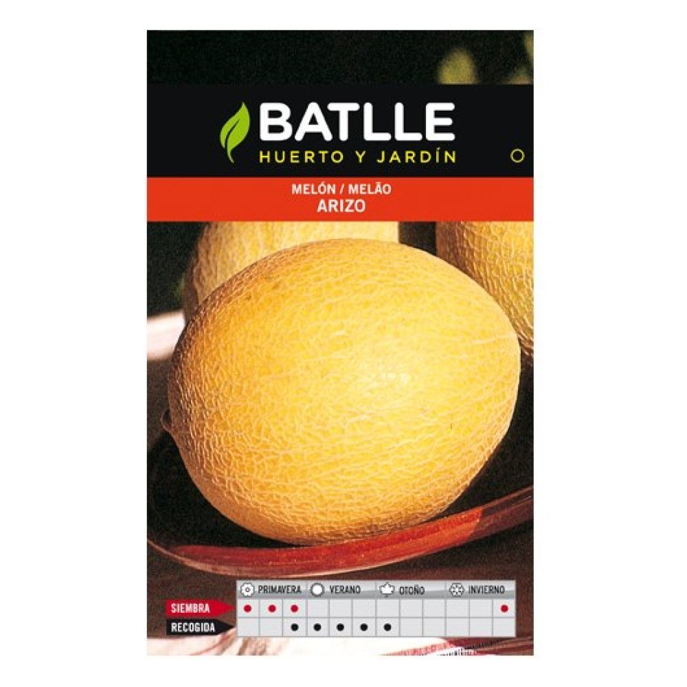 Melon Arizo