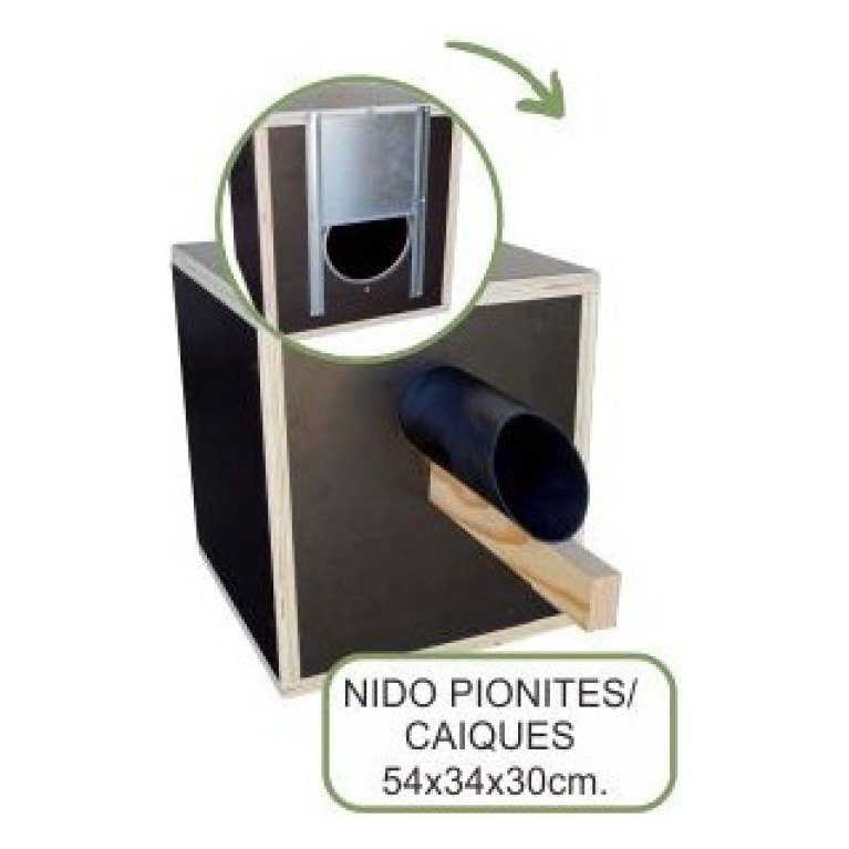 Nido Madera Pionites/ Caiques