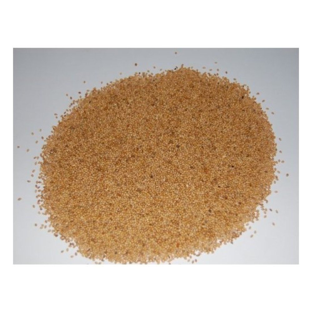 Panizo en Grano 25 Kg