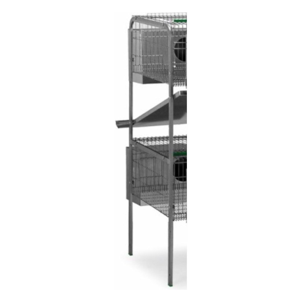 Pata Lima 2 Piso