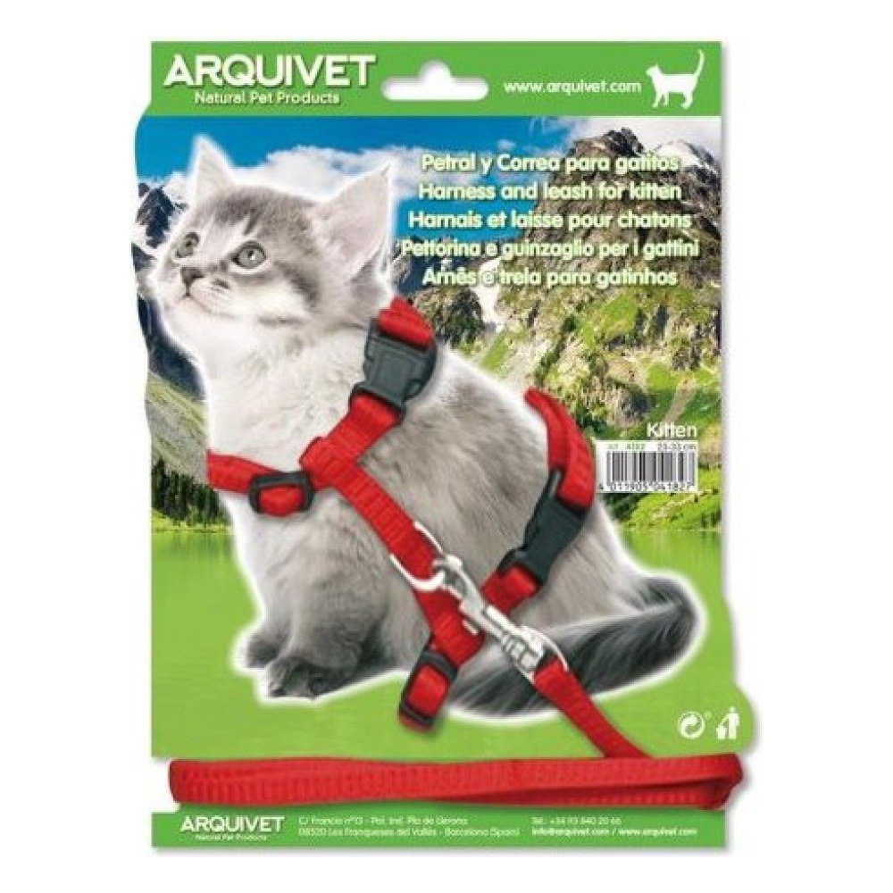 Petral + Tirador Gatitos 35/44cms