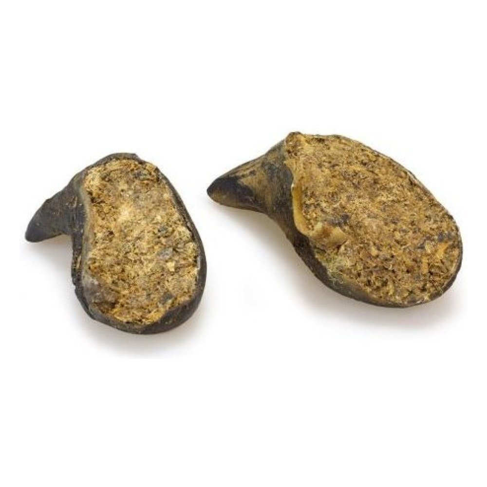 Pezuña de Búfalo Rellena de Higado. Envase Individual