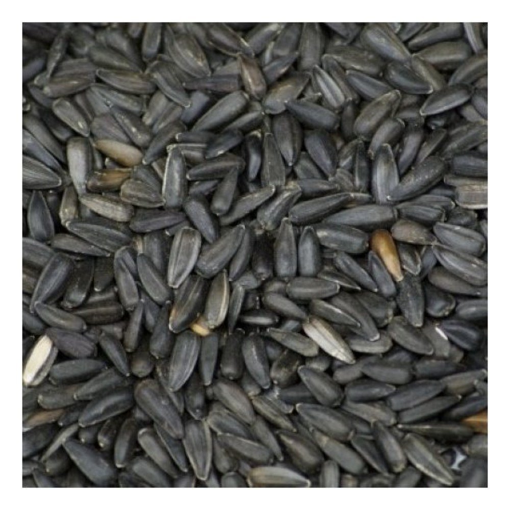 Pipas Negras 15 Kg. Prodac