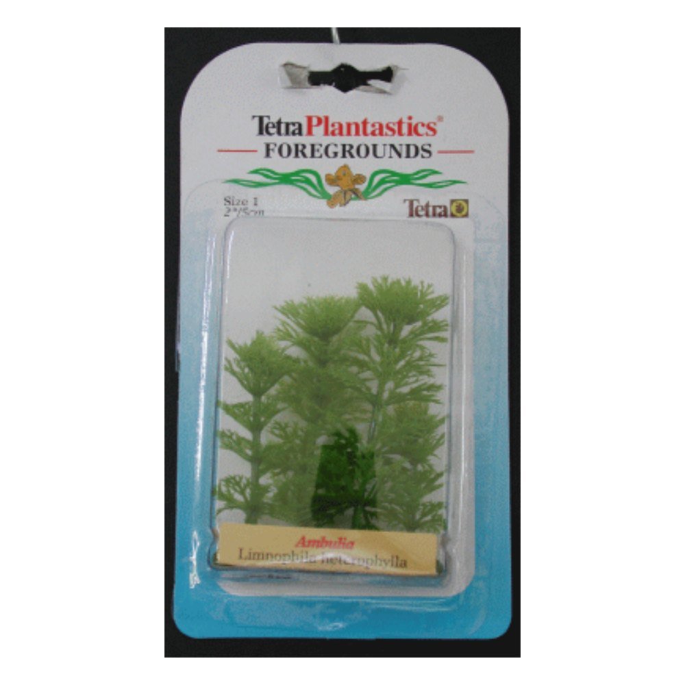 Planta Ambulia Foreground 5 Cm