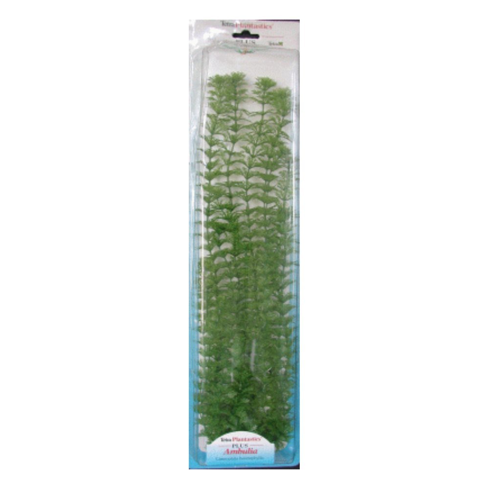 Planta Ambulia Plus (28-33CM)