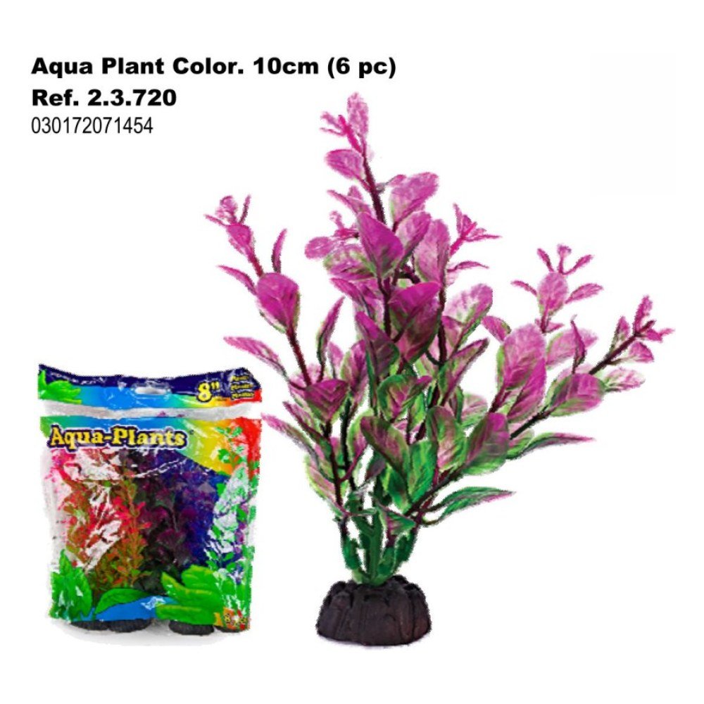 Planta Aqua Color 10 cm 6 Piezas