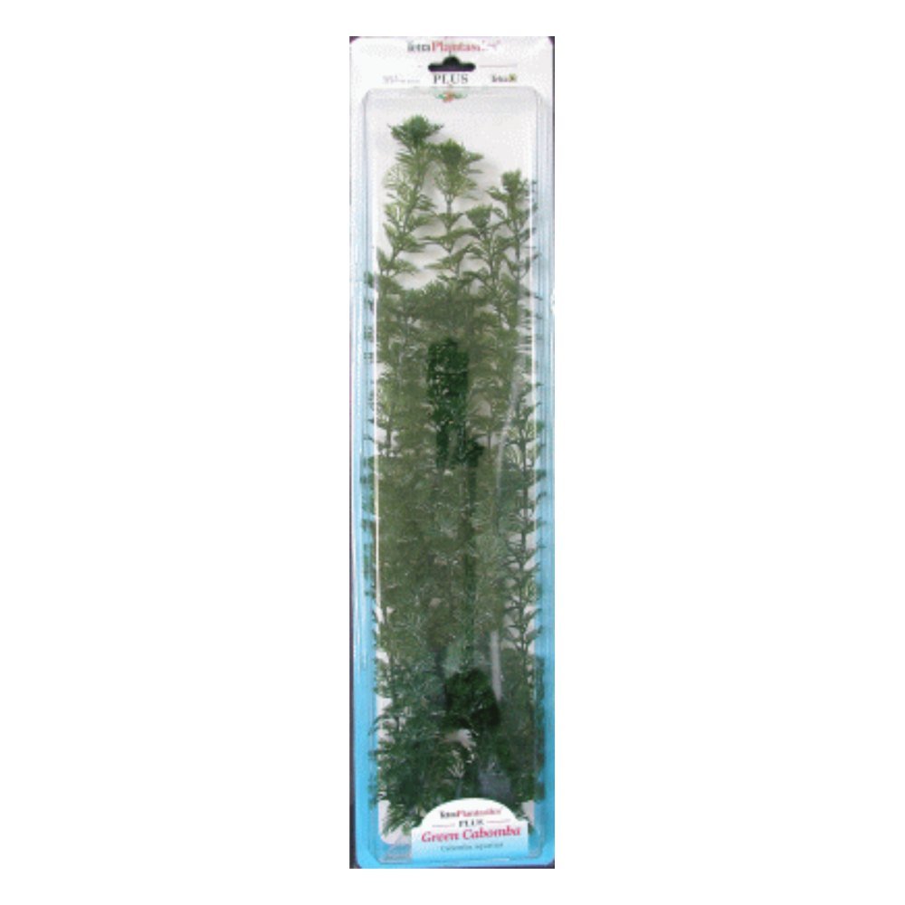 Planta Cabomba Plus (28-33CM) L