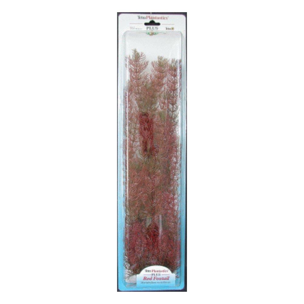 Planta Foxtail Plus (35-38CM)