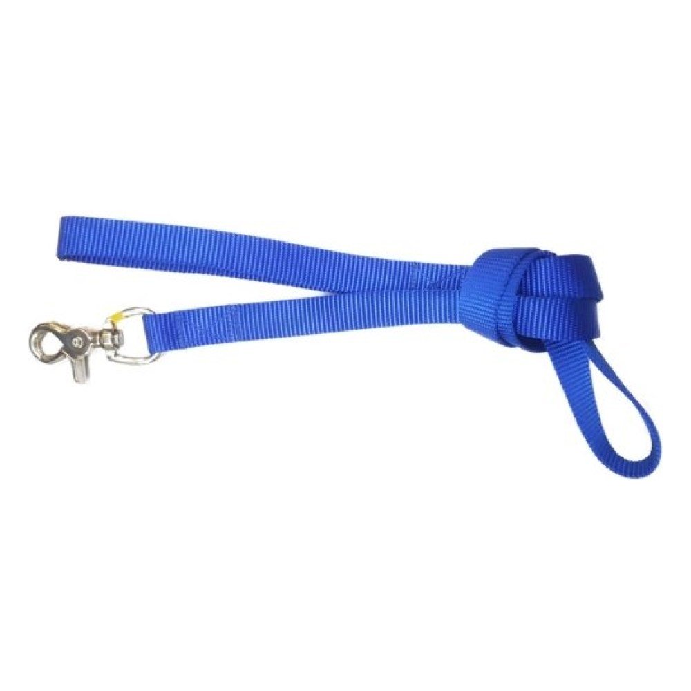 Ramal Nylon Liso 20x1000mm. Azul Gancho Garfio
