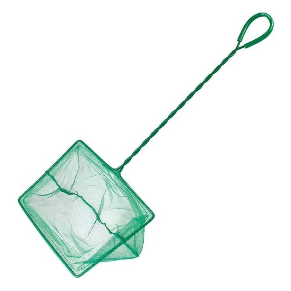Salabre Verde 20 X 15 Cm