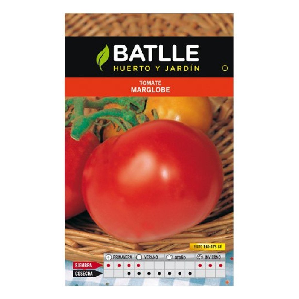 Tomate Marglobe