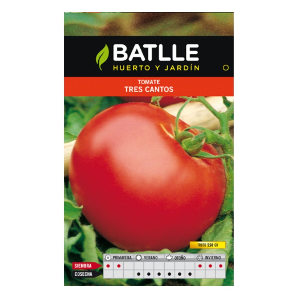 Tomate Tres Cantos Sobre