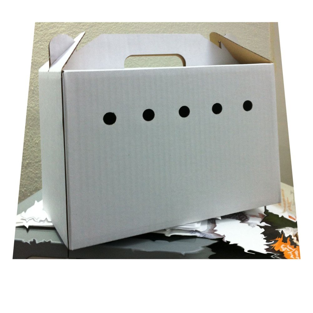 Transportin Carton Grande 25, 5x14x18, 2 cm