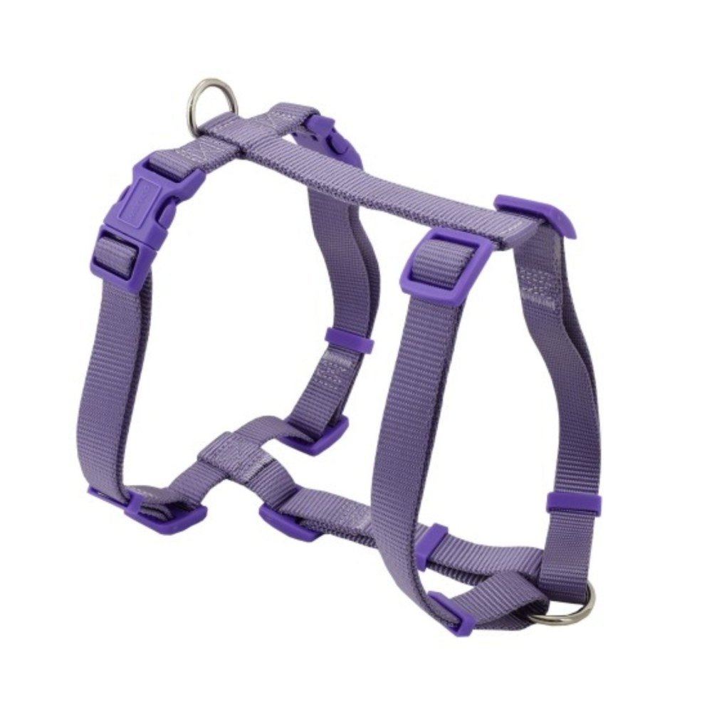 Arnes Basic en H Lila 10 mm 23-37CM